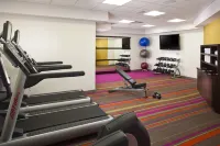 新奧爾良法國區/伊貝維爾萬怡飯店 - 健身房