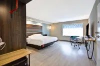 Tru by Hilton Chicopee Springfield - Wifi
