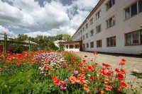 Arkada Hotel Hotels in Achinsk