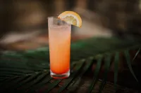 Kactus-Your Island Sanctuary on Koh Ta Kiev - Quầy bar