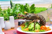 Koggala Beach Hotel - breakfast