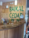 Baikal Cedar