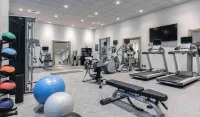 Homewood Suites by Hilton Boston Logan Airport Chelsea - Gym