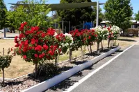Stawell Grampians Gate C & C Park - Parking