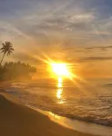 Satin Doll - Ocean View
