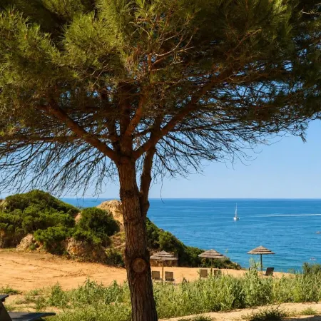 Foz Club - Algarve