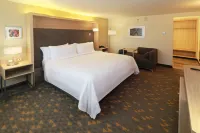 Holiday Inn Ciudad Juarez Hotels in 