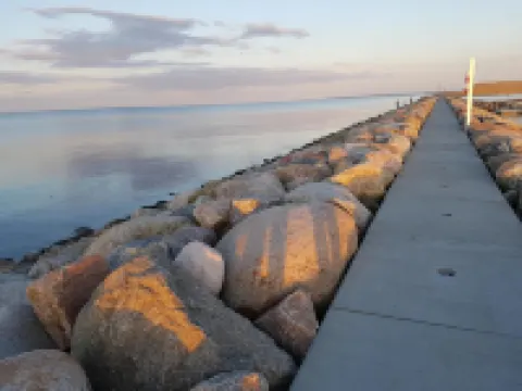 코에게 게스트하우스