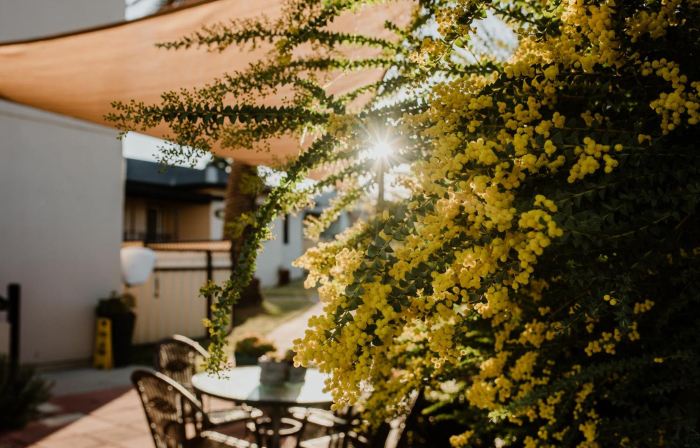 Inverell Terrace Motor Lodge