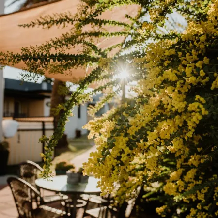 Inverell Terrace Motor Lodge