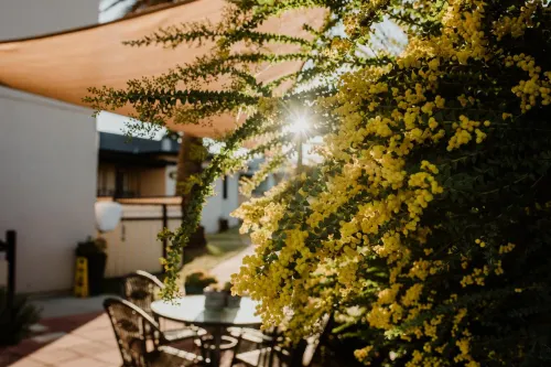 Inverell Terrace Motor Lodge - parking