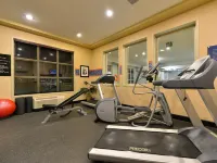 埃德蒙頓國際機場希爾頓歡朋套房酒店 - 健身室/gym room