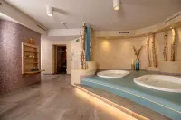فالارا ألباين آرت هوتل - سبا