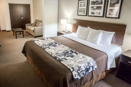 Sleep Inn & Suites Indoor Waterpark - Wifi