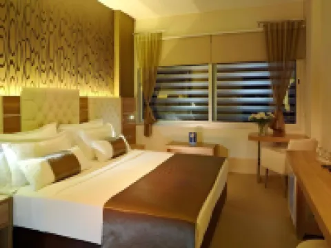 オルティ エアポート ホテル イズミルのホテル