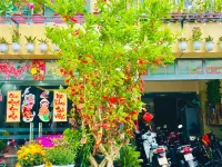 Duy Canh Homestay Hotels near Bãi Đầm Trầu