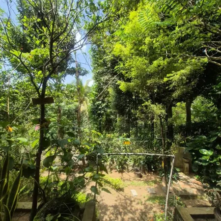 New Toropi Homestay