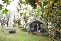 Stay in Mudgee the Grove, the Church, and Premium Private Homestead