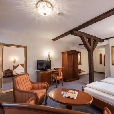Hotel Goldener Löwe Hotels near Albrechtsburg Castle