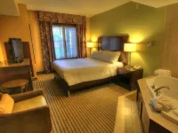 Hilton Garden Inn Gatlinburg - Pet friendly