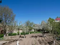 カリンズ B&B - 3つ星