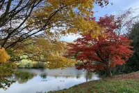 The Swan Inn Hotels in Haslemere