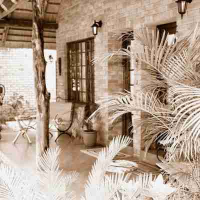 Trees Too Guest Lodge Hotel Exterior
