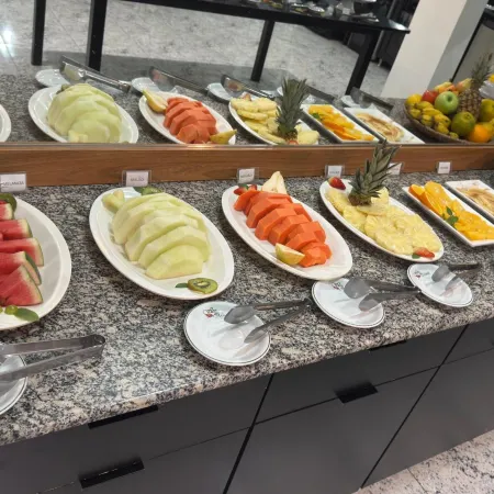 Hotel Flor de Minas