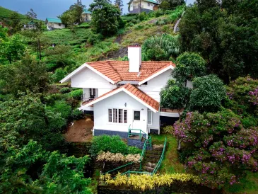 Falcon Crest