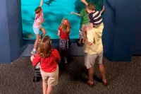 TownePlace Suites Wilmington/Wrightsville Beach Hotels in Murrayville