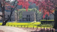 龍峰山度假村 Gaints Castle Game Reserve住宿飯店