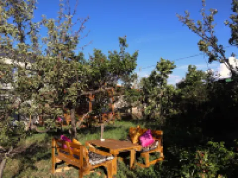 Esenin 1 Hostel & Bar Hotels in 