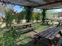 B&B Il Pettirosso di Siena - Huvilat