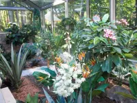 Royal Falke Resort & SPA (Роял Фальке)