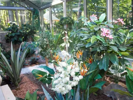 Royal Falke Resort & SPA (Роял Фальке)