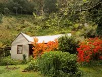 Spetts Cottage Hotels in Walhalla