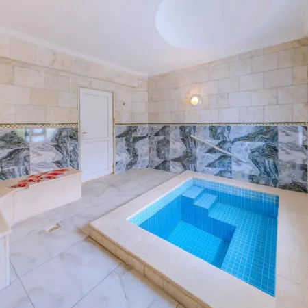 Afyon Dundar Thermal Villa