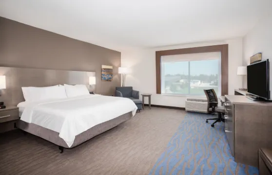 大本德智選假日酒店