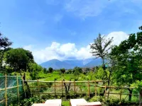 Seclude Palampur Hotels in Palampur