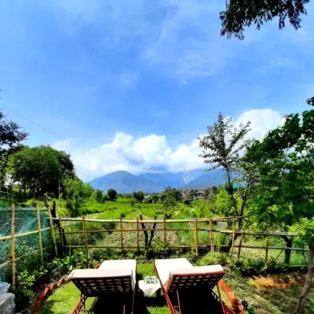 Seclude Palampur