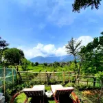 Seclude Palampur Hotels in Palampur