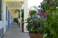 Americas Best Value Inn Bradenton Sarasota