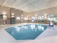 La Quinta Inn & Suites by Wyndham Detroit Utica - Pools