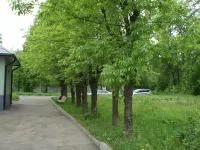 Pyatiy Ugol Hotel Hotels in Ivanovo
