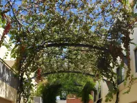 RNR Sturt Holiday Home Hotels in Hyde Park