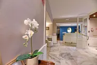 Hotel Bristol - Kæledyr tilladt