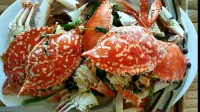 Costa Aguada Island Resort, Inampulugan Island, Sibunag, Guimaras - breakfast