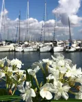 Dolce Vita Suite Alghero - en bord de mer