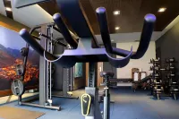 Yomo Mola Park - Gym