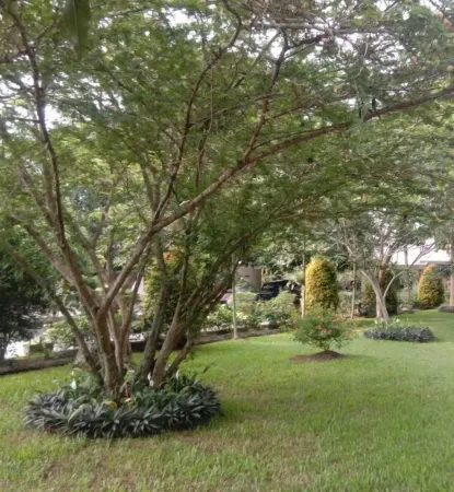 Siantar Hotel Pematangsiantar Отели в г. Bah Kapul